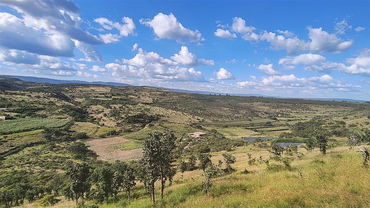 Rolling green countryside in Mexico under a cloudy sky