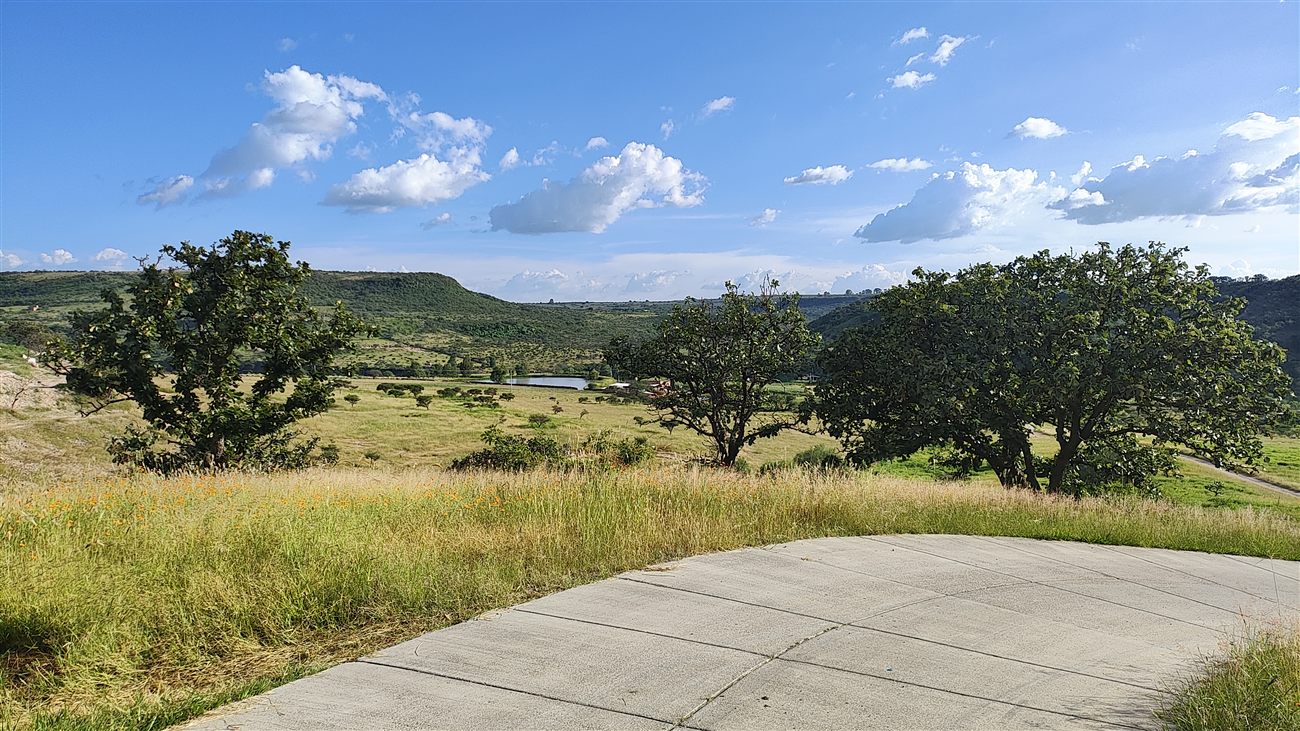 Rolling green hills with a small pond in Mexico