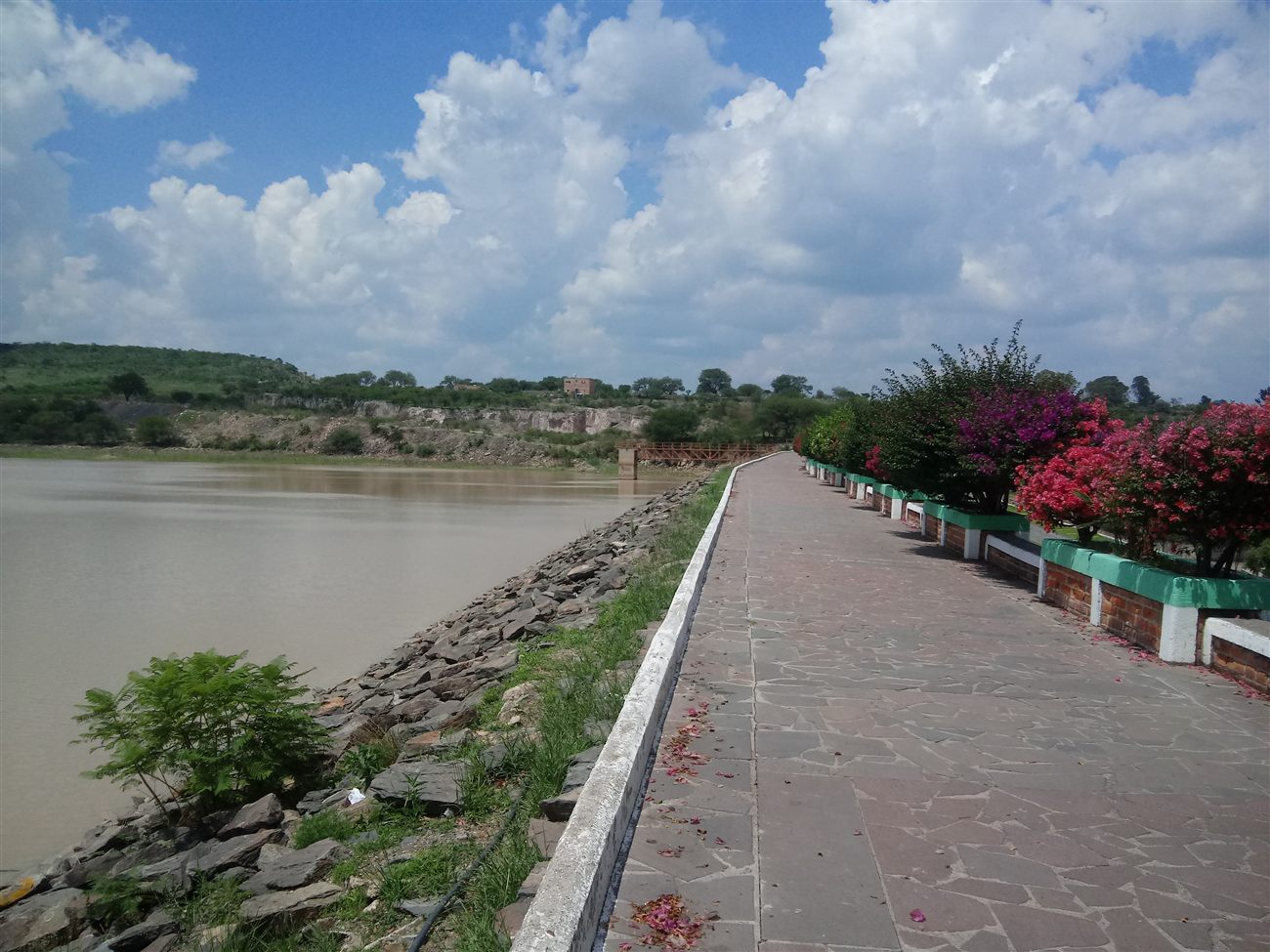 A lakeside walkway lined with bougainvillea flowers