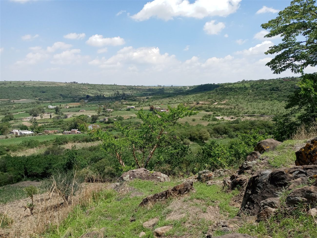 A village nestled in a green valley