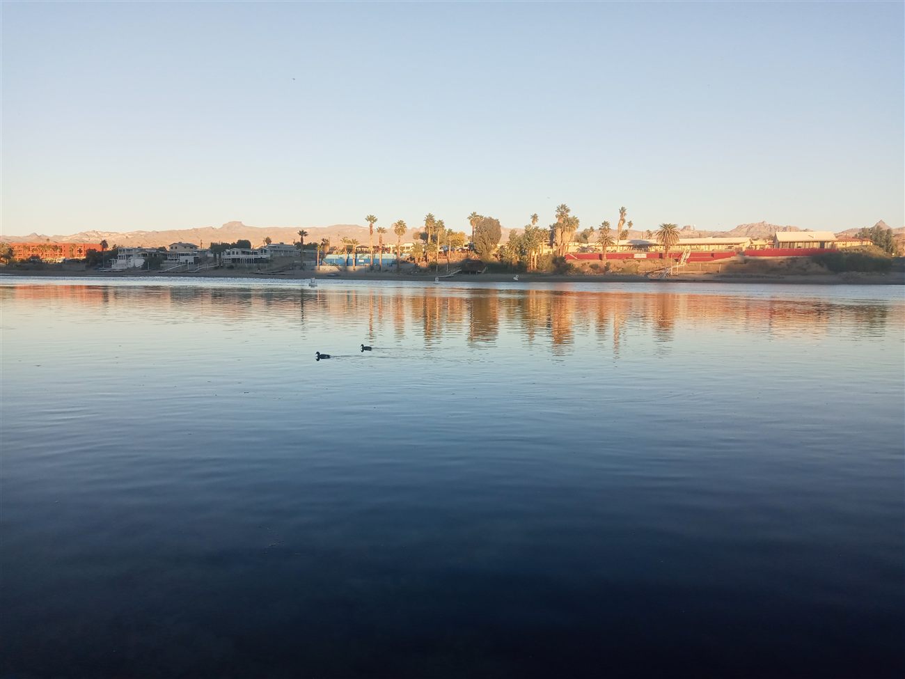 Calm river water reflecting the desert town at dusk with ducks swimming