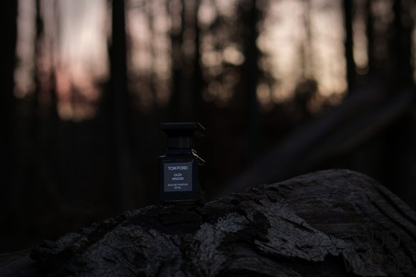 A bottle of Tom Ford Oud Wood resting on a log at dusk